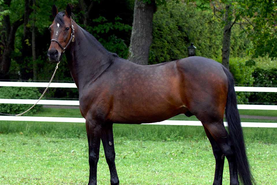 Varenne