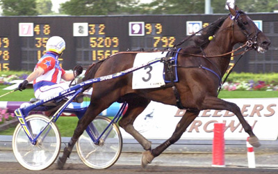 Breeders Crown 2001